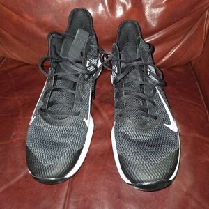 Nike Lebron Witness IV